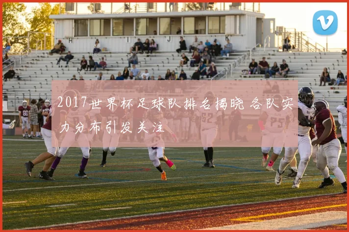 2017世界杯足球队排名揭晓 各队实力分布引发关注